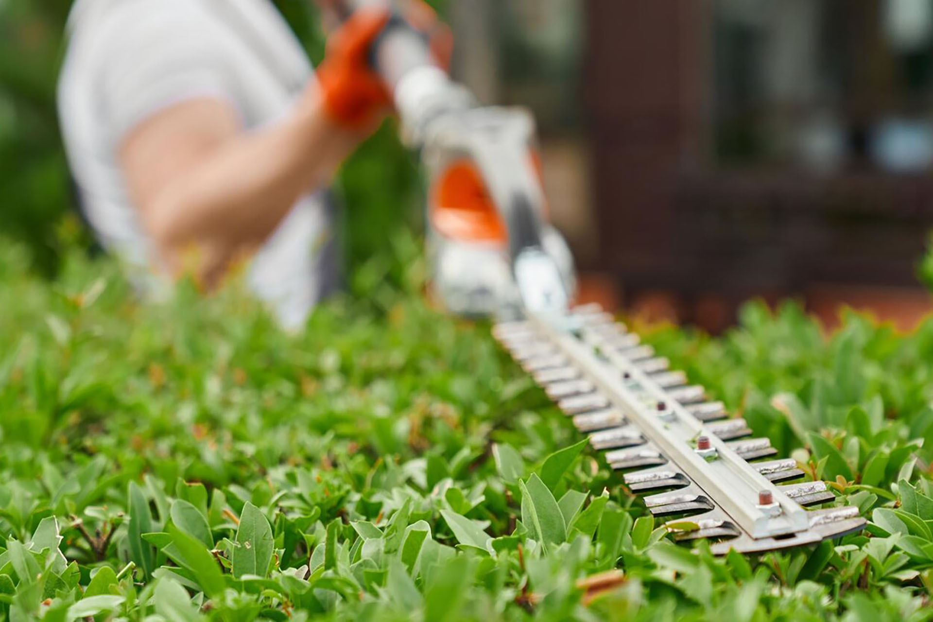 worker-is-cutting-grass-with-hose_7502-9835